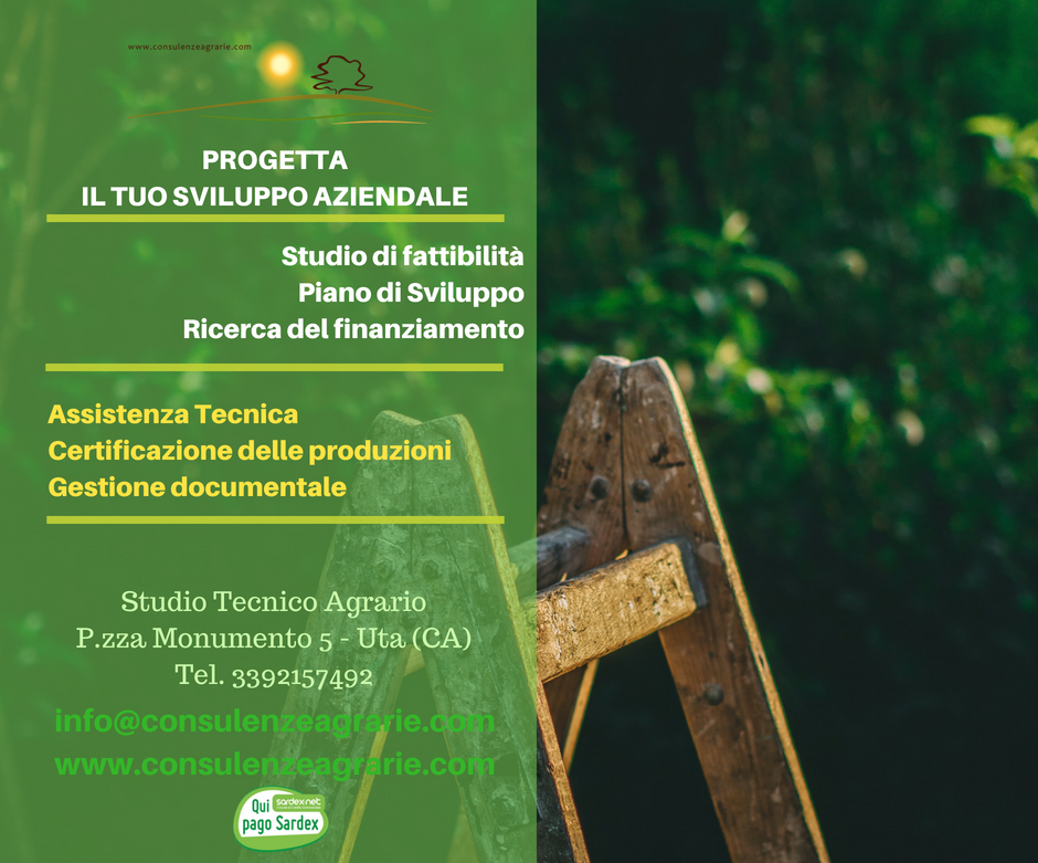 Progetta il tuo sviluppo aziendale