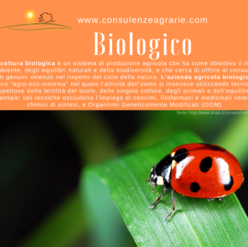 Misura 11 – Agricoltura biologica - Annualità 2020