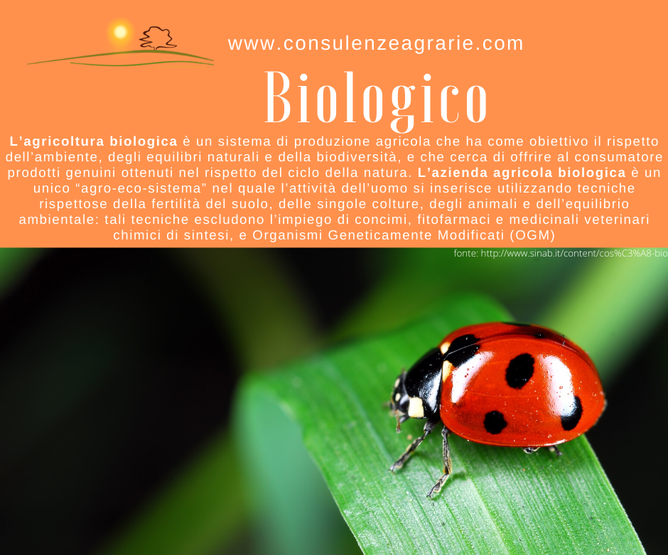 Misura 11 – Agricoltura biologica - Annualità 2020